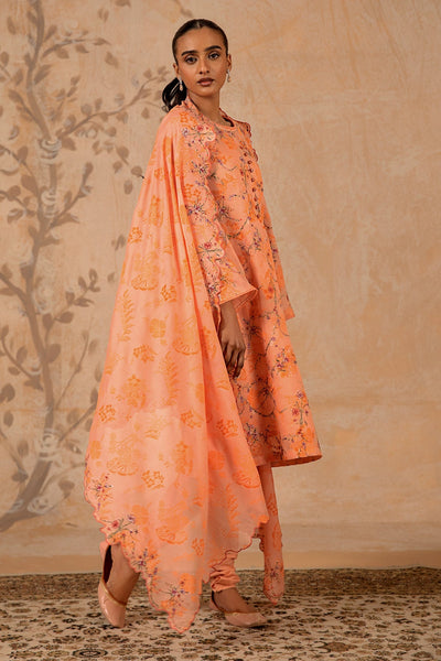 3 Piece - Printed & Embroidered Malmal Suit - MC1613-1 - Shop Now at Kayseria