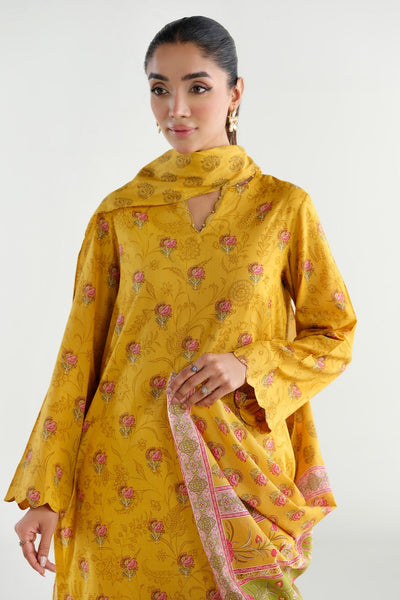 3 Piece - Printed & Embroidered Lawn Suit - C6220 - Shop Now at Kayseria