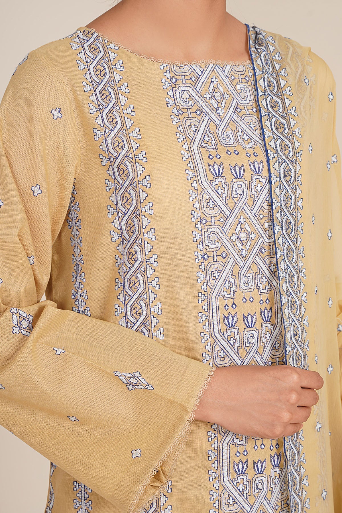3 Piece - Embroidered Suit - E1838 - Shop Now at Kayseria